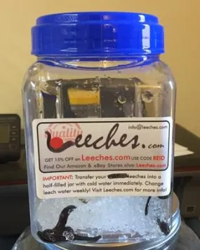 200 Bloodsucking Leeches - Suet's Special